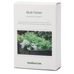 Semences Cultiver des légumes dans un potager surélevé - des partenaires idéaux