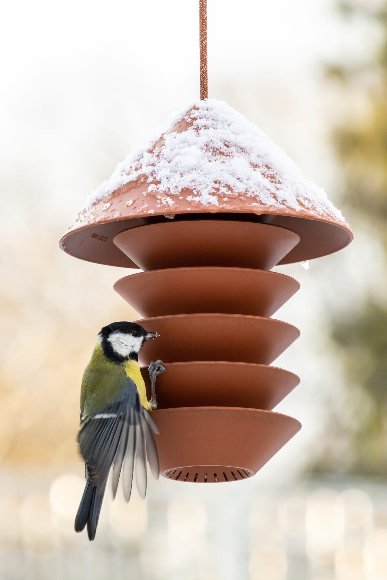 steel silo bird feeder