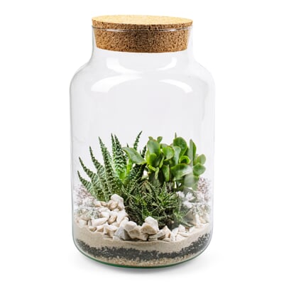 Bottle garden with substrate | Manufactum