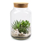 Bottle garden with substrate