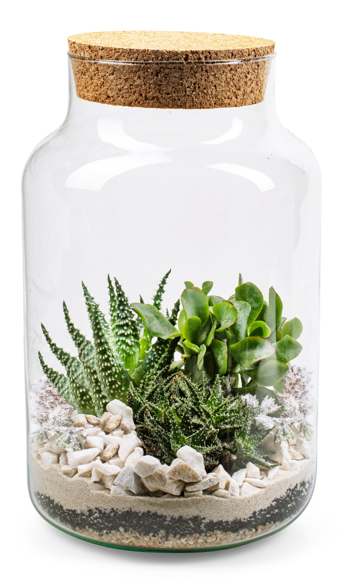 Bottle garden with substrate | Manufactum