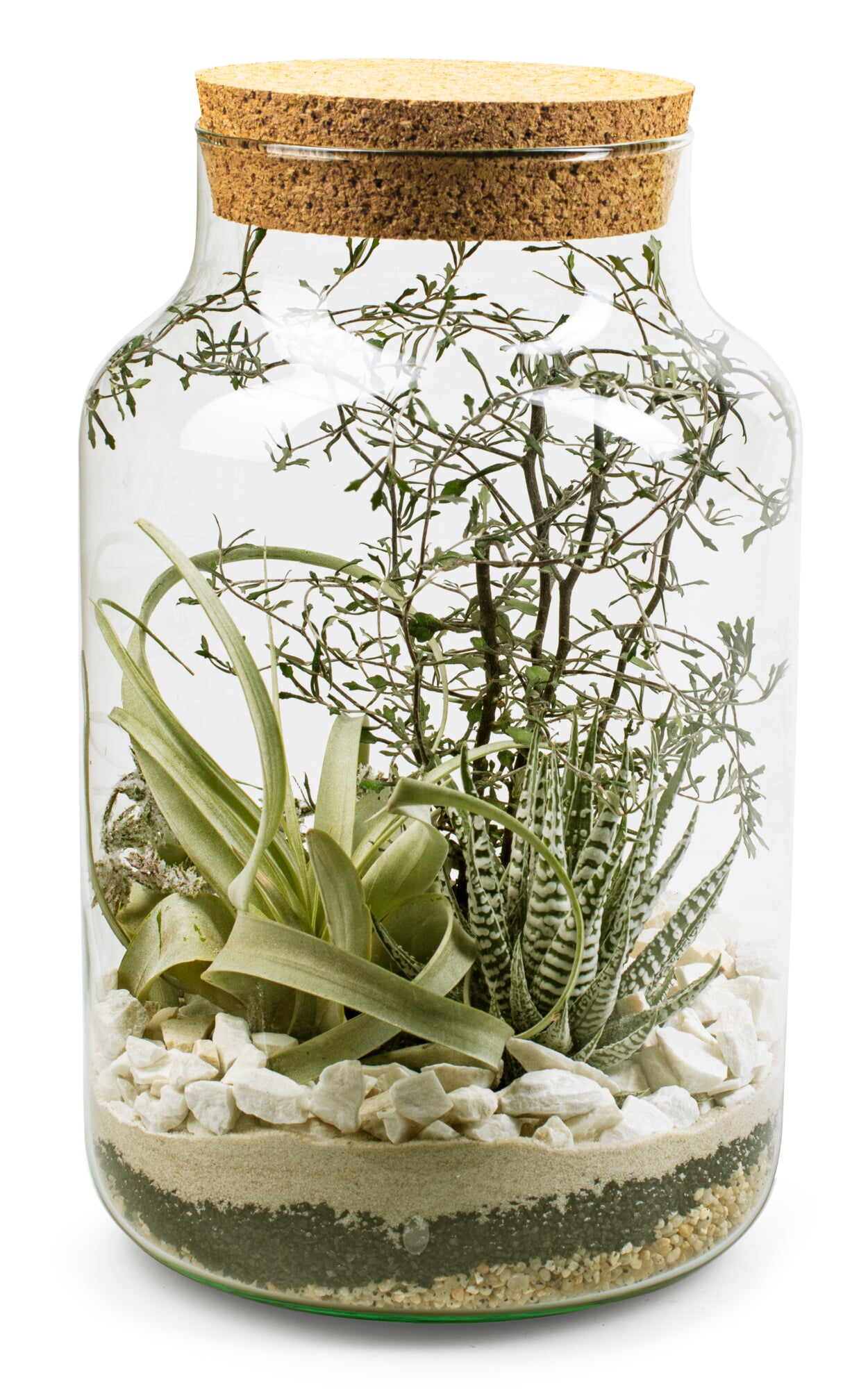 bottle-garden-with-substrate.jpg