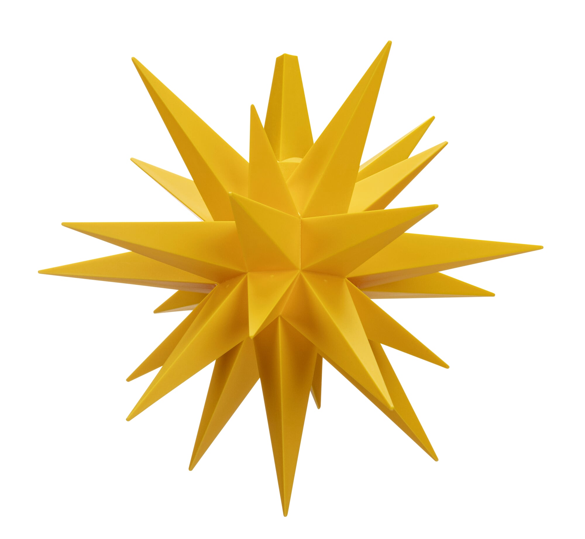 limette zimmerpflanze Citrus hystrix main image 1