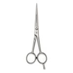 Forbici per capelli in acciaio inox