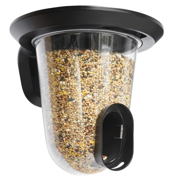 Distributeur de graines pour oiseaux FeedR