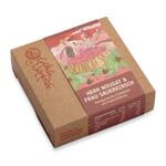 Chocolat à la ganache « Monsieur Nougat et Madame Cerise acide »