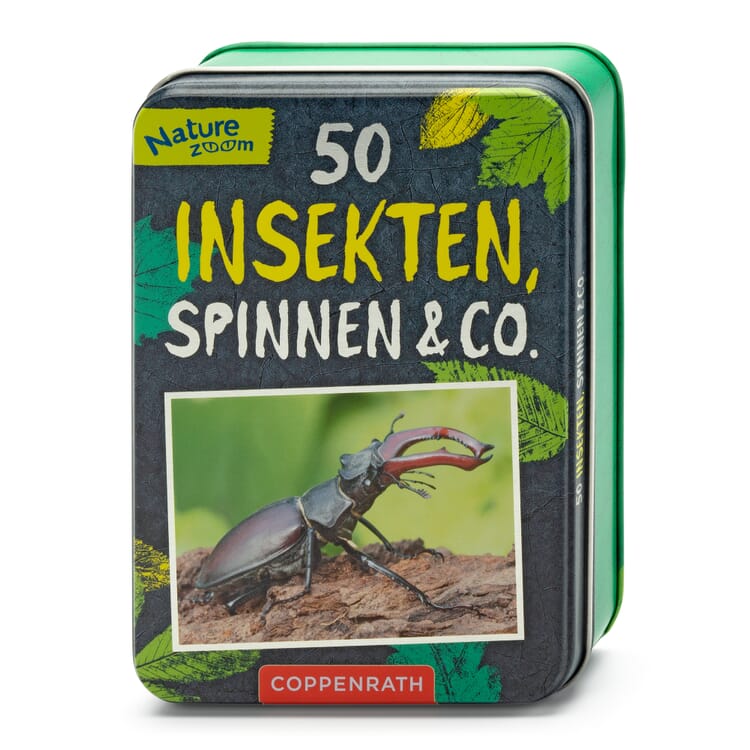 Card box, 50 Insekten, Spinnen & Co.