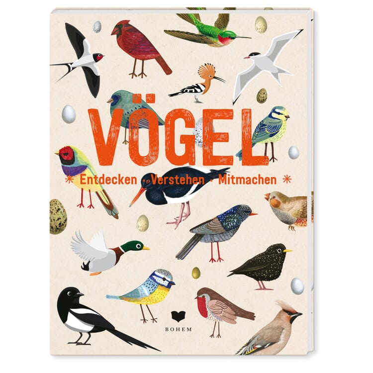 Les oiseaux . Découvrir, comprendre, participer