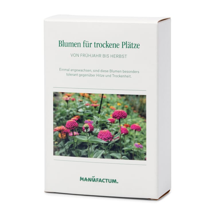 Blumenamen für trockene heiße Plätze