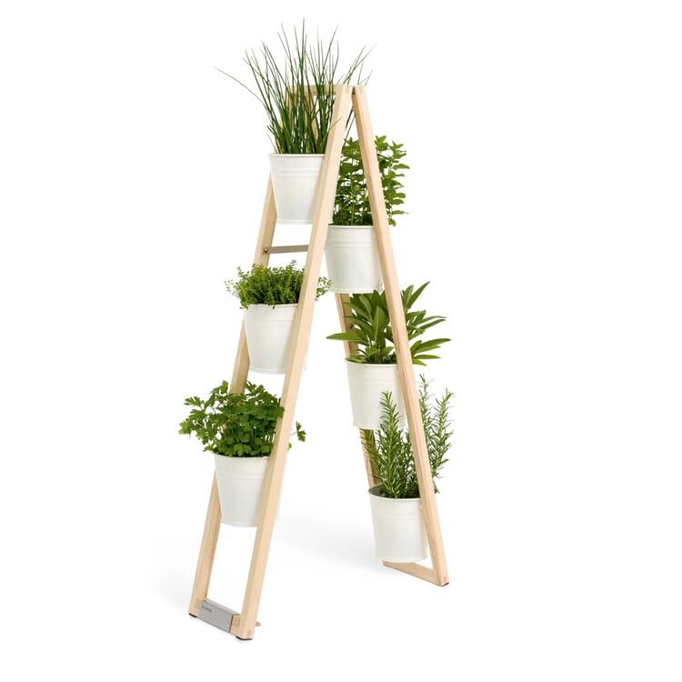 Plant ladder for indoors and outdoors, White