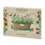 Adventskalender Alte Blumensamen