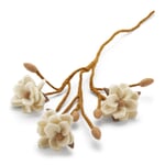 Filt af magnoliagren Hvid