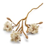 Rameau de magnolia Feutre Blanc
