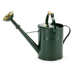 Watering can sheet steel lacquered 9 liters Green