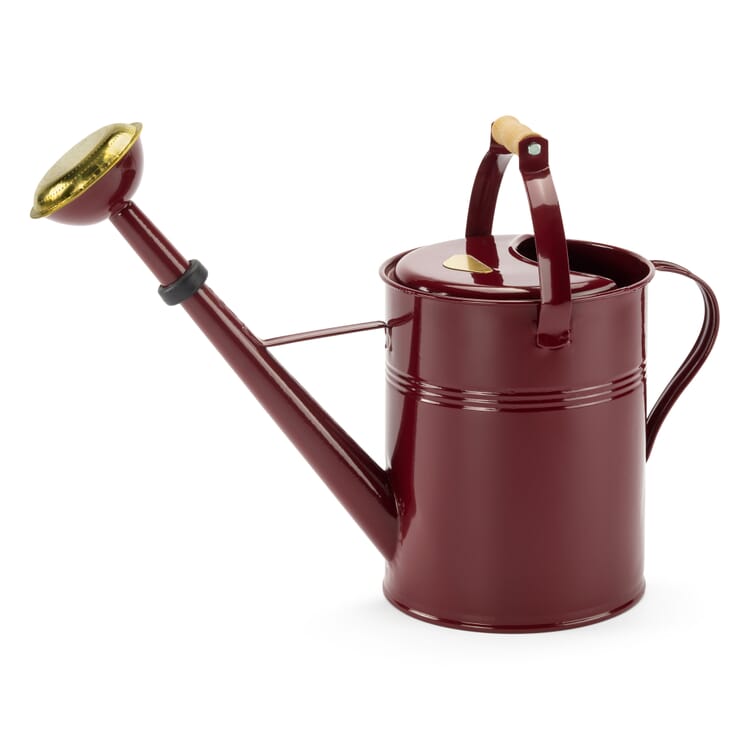 Watering can sheet steel lacquered, 9 liters