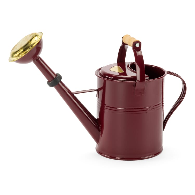 Gießkanne Stahlblech lackiert, 5 Liter