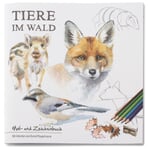 Colouring and Drawing Book Animals living in a forest