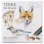 Livre de coloriage et de dessin Animaux dans la forêt