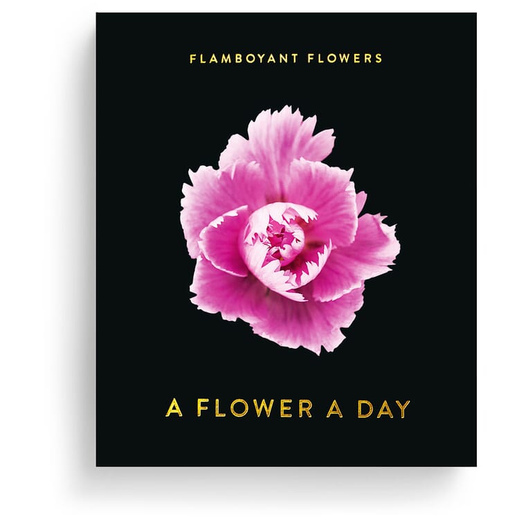 Årskalender Flamboyante blomster