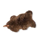 Peau de mouton Skiep Marron