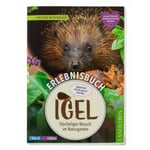 Hedgehog experience book