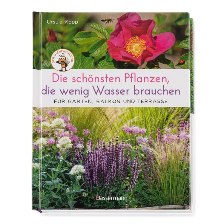 Les plus belles plantes qui ont besoin de peu d'eau