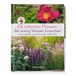 Les plus belles plantes qui ont besoin de peu d'eau