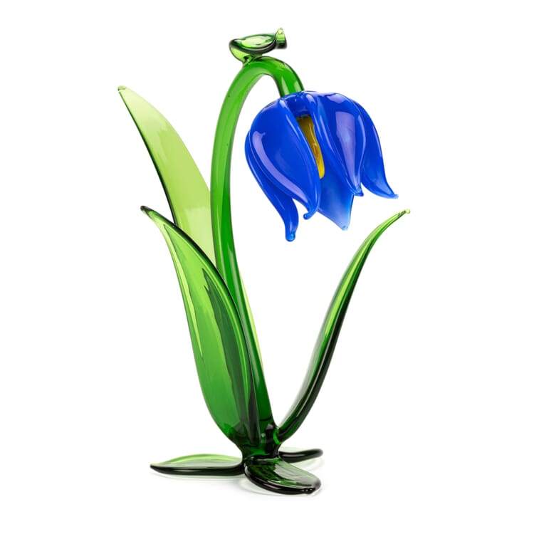 Lauscha klokkeblomst
