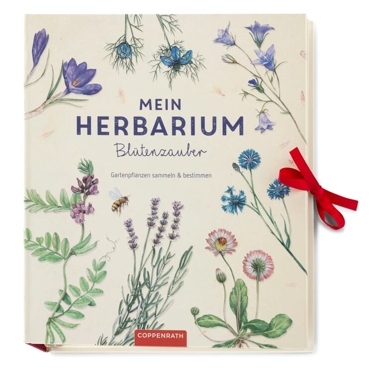Mein Herbarium: Blütenzauber - Gartenpflanzen sammeln und bestimmen