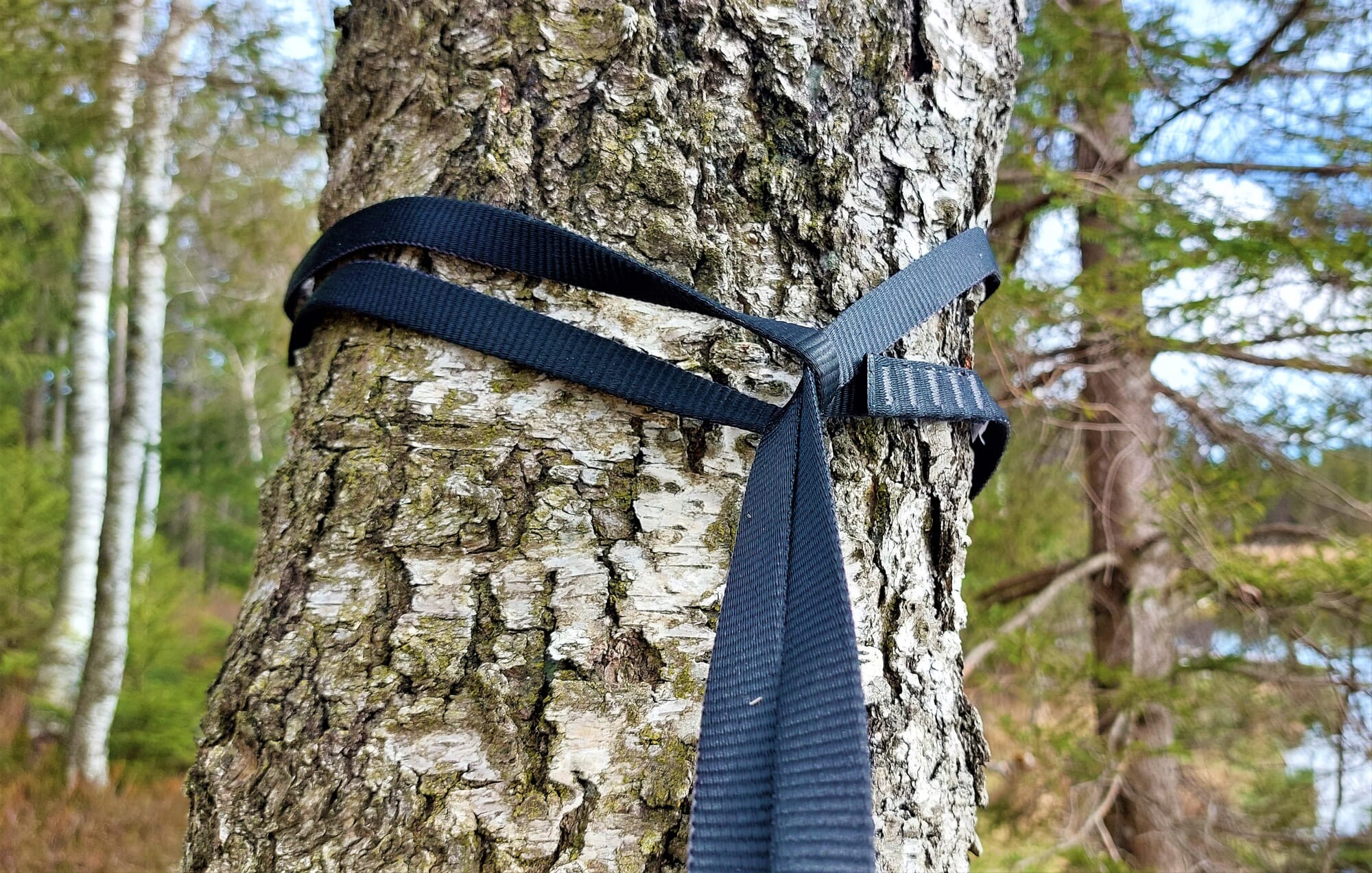 Hang hammock discount from tree branch