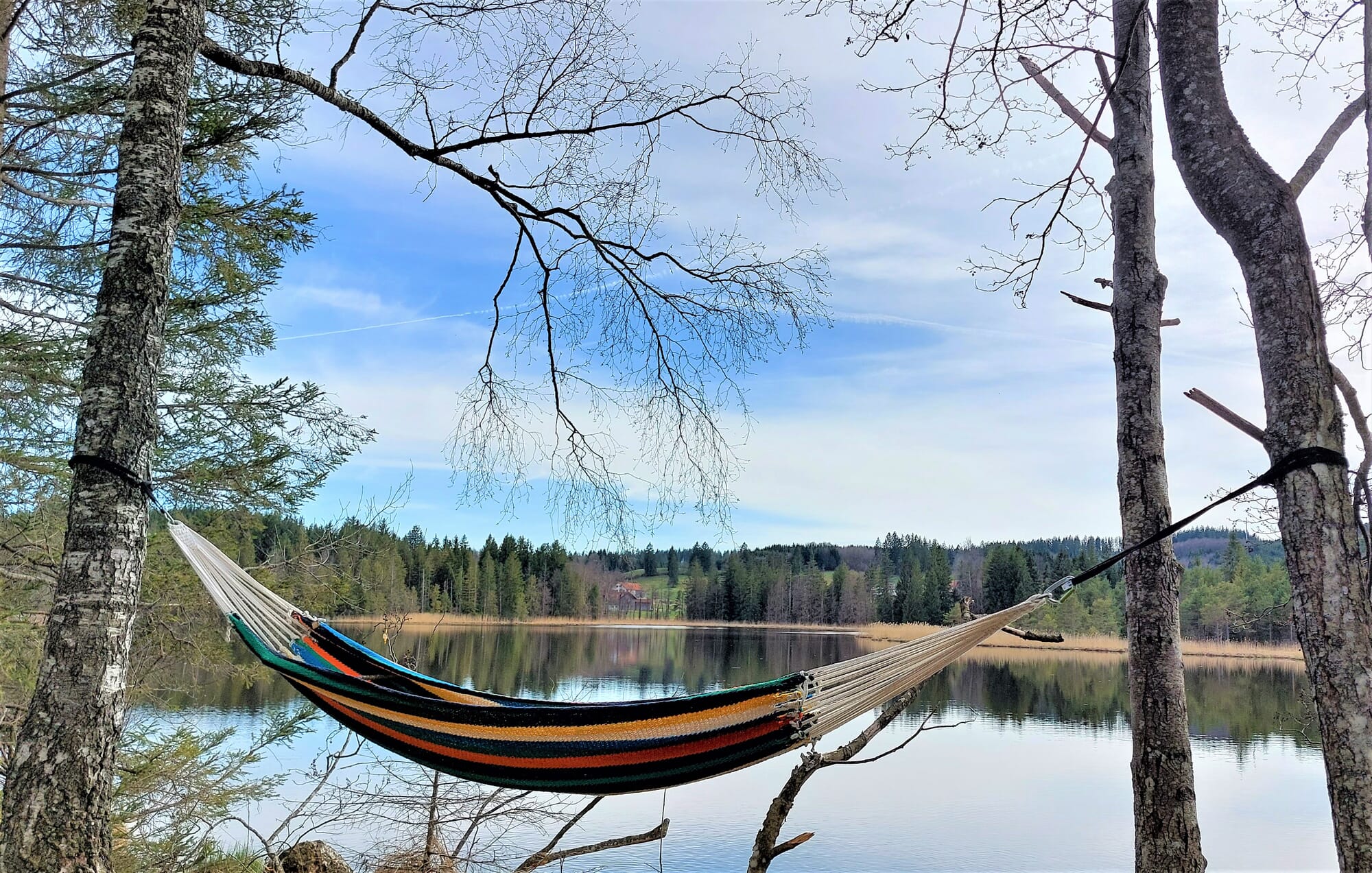 Hanging a hammock online without trees