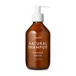 Natural shampoo Soeder