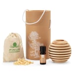 Scented wood Globe Swiss stone pine