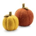 Pumpkins felt