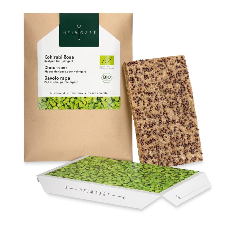Cuscinetto di semi biologici Microgreens, Cavolo rapa