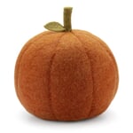 Pumpkin felt large