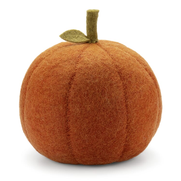 Pumpkin felt large
