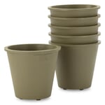 Natural rubber plant pots