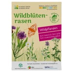 Wildblumenrasen gebietsheimisch Nord