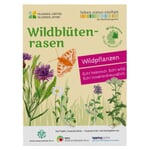 Wildblumenrasen gebietsheimisch Ost