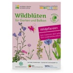 Wildblumen für Balkon und Garten gebietsheimisch Ost