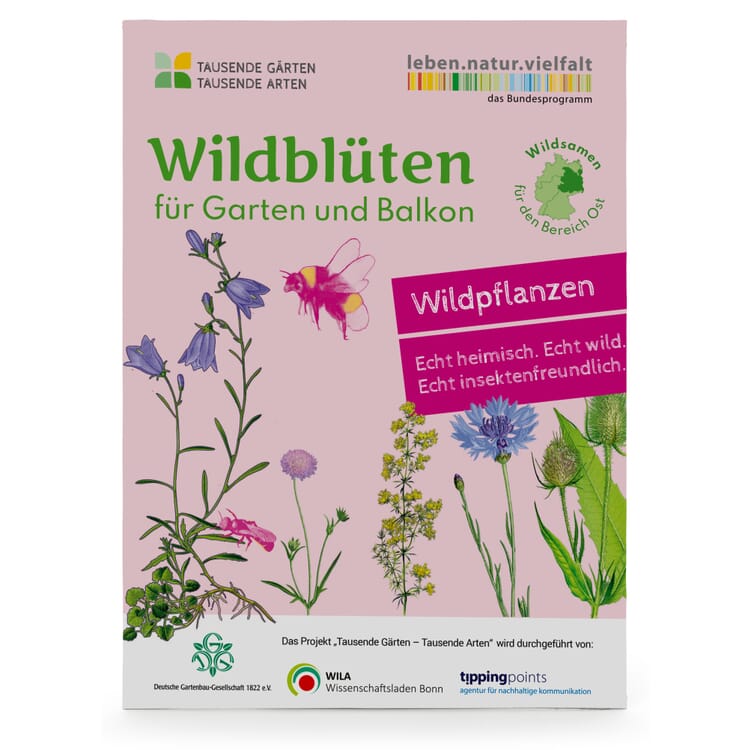 Wildblumen für Balkon und Garten gebietsheimisch