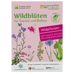 Wildblumen für Balkon und Garten gebietsheimisch Nord