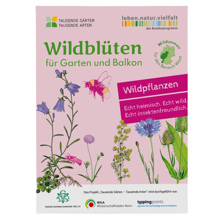 Wildblumen für Balkon und Garten gebietsheimisch, West