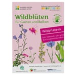 Wildblumen für Balkon und Garten gebietsheimisch Süd