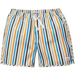 Mens beach shorts striped Multicolor