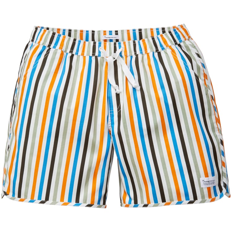 Mens swimming shorts striped