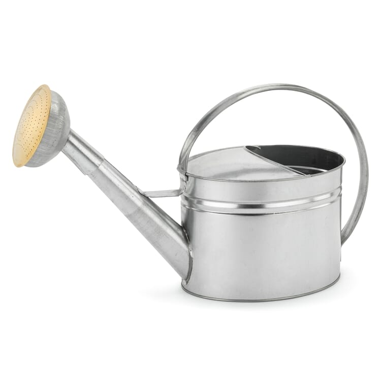 Regadera galvanizada, 6 l