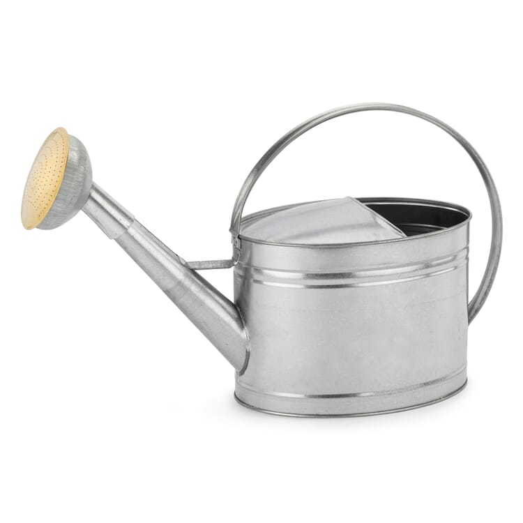 Regadera galvanizada, 10 l