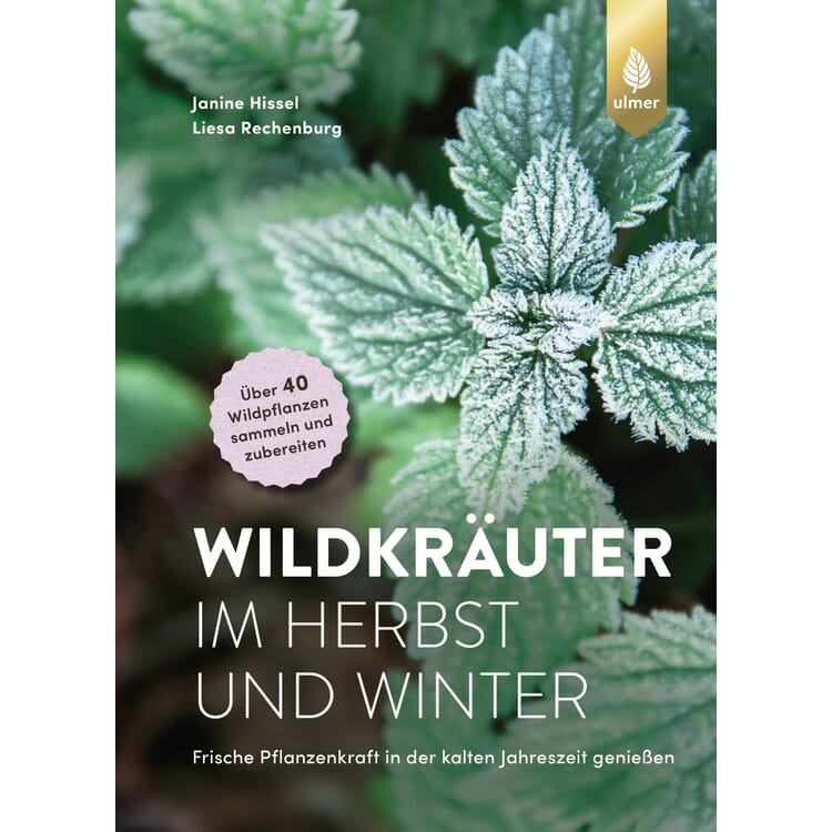 Wild herbs in autumn and winter